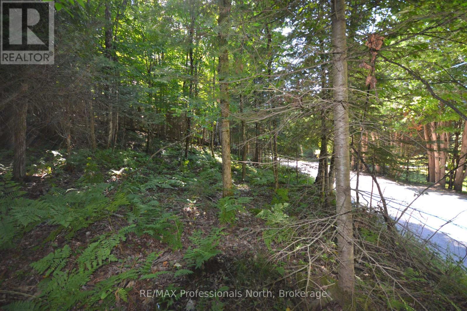0 FRED JONES ROAD — photo 12