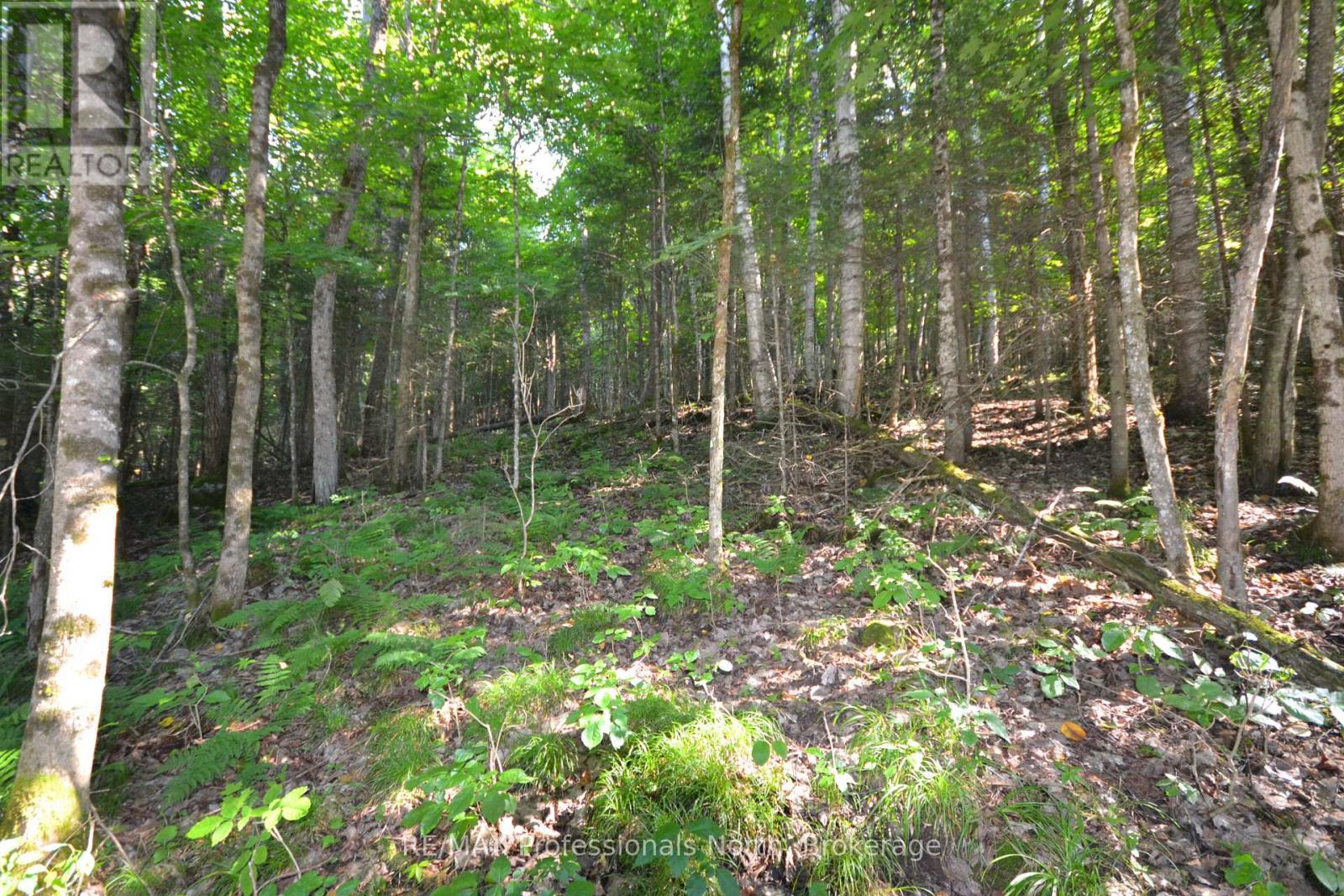 0 FRED JONES ROAD — photo 13