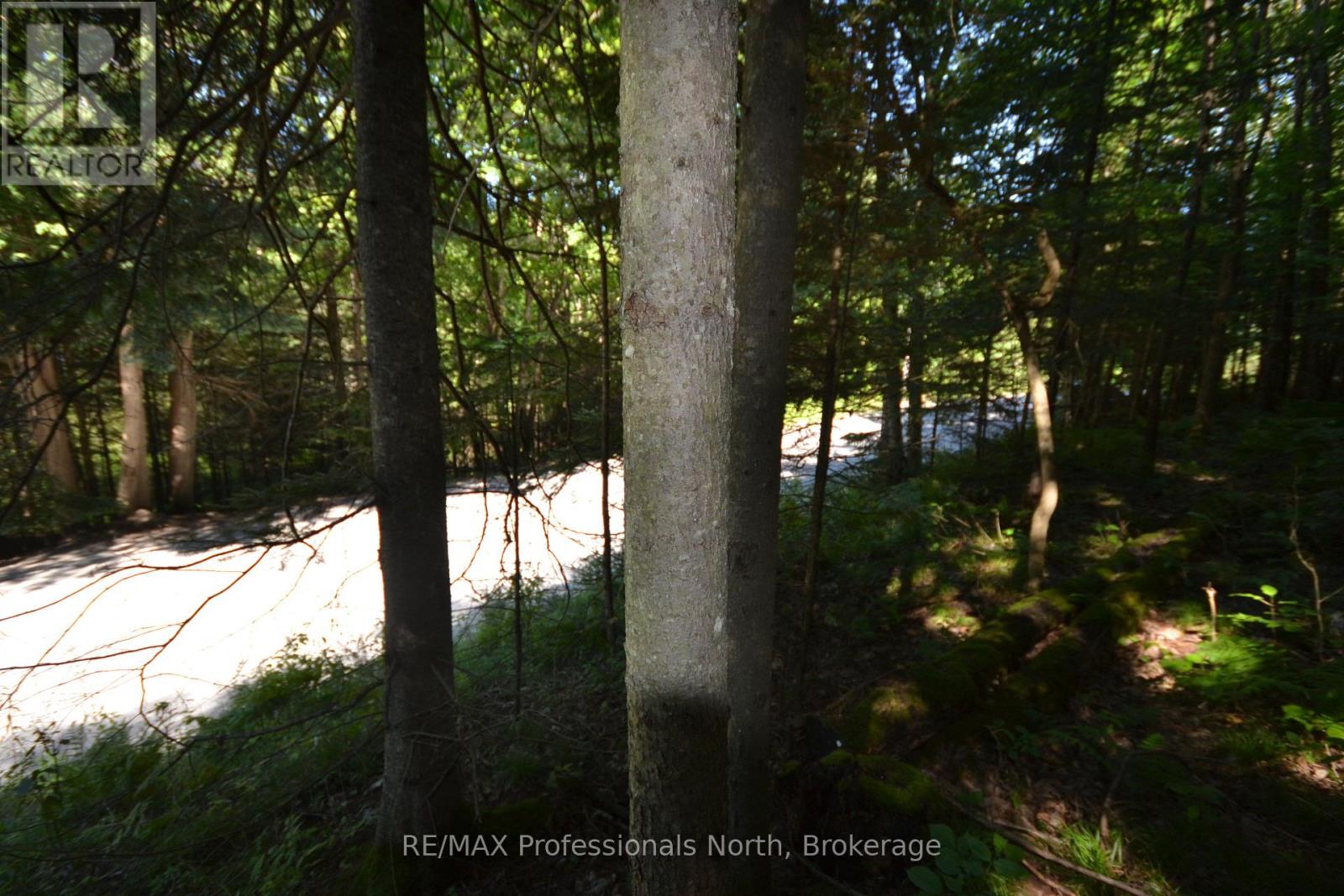 0 FRED JONES ROAD — photo 14