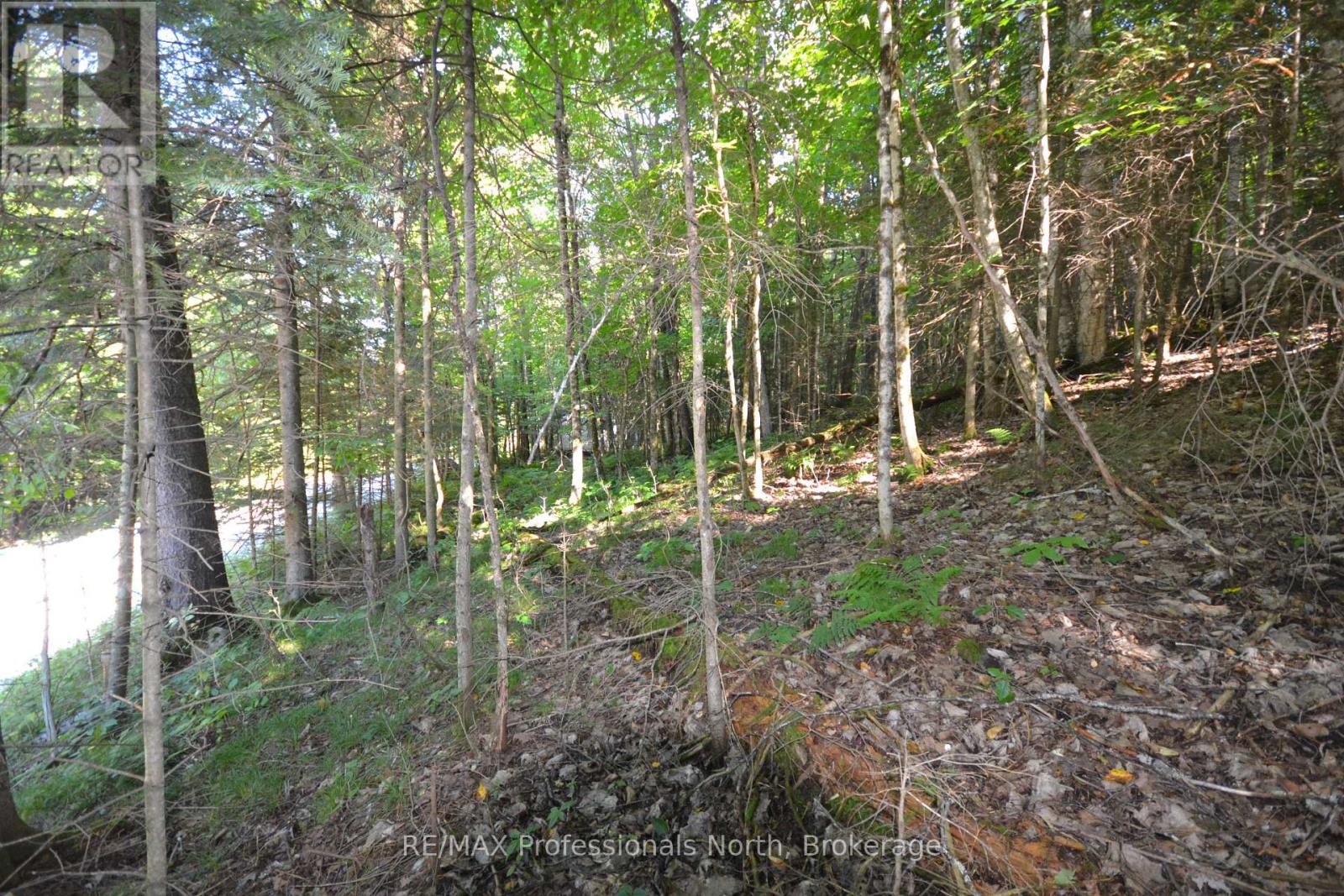0 FRED JONES ROAD — photo 15