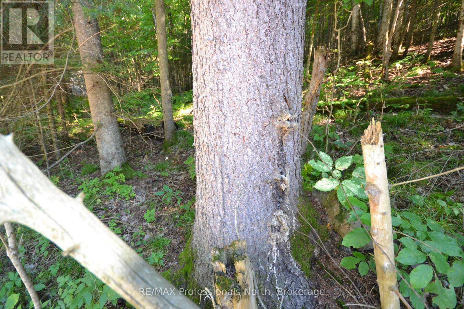 0 FRED JONES ROAD — photo 16