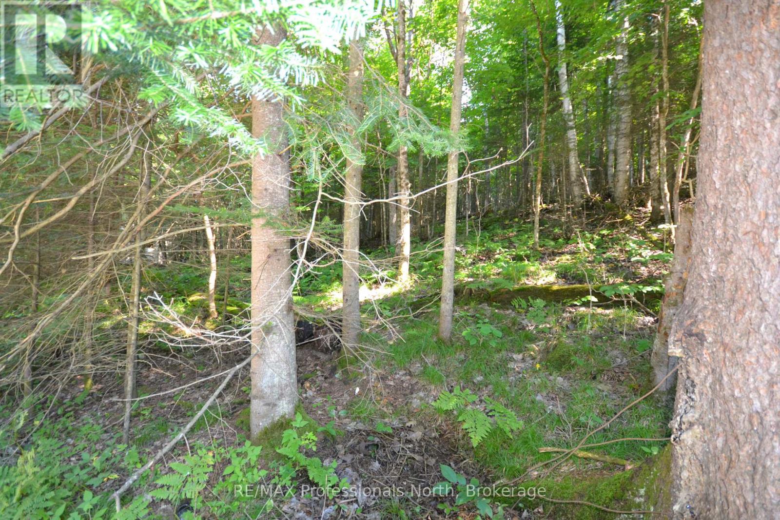 0 FRED JONES ROAD — photo 17