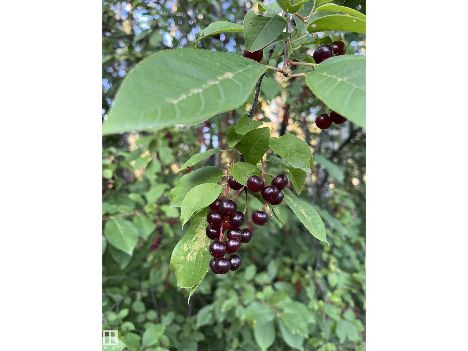 #1 27432 TWP ROAD 544, Rural Sturgeon County