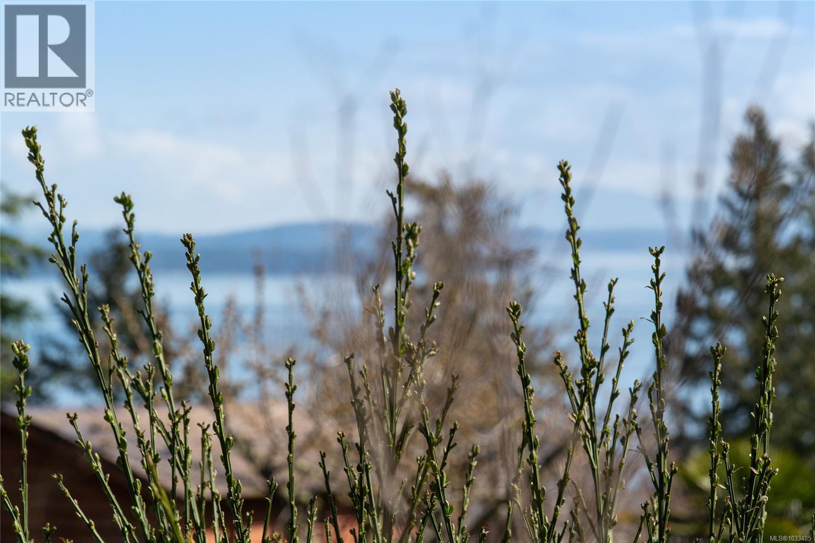  805 Yole Place, Saanich