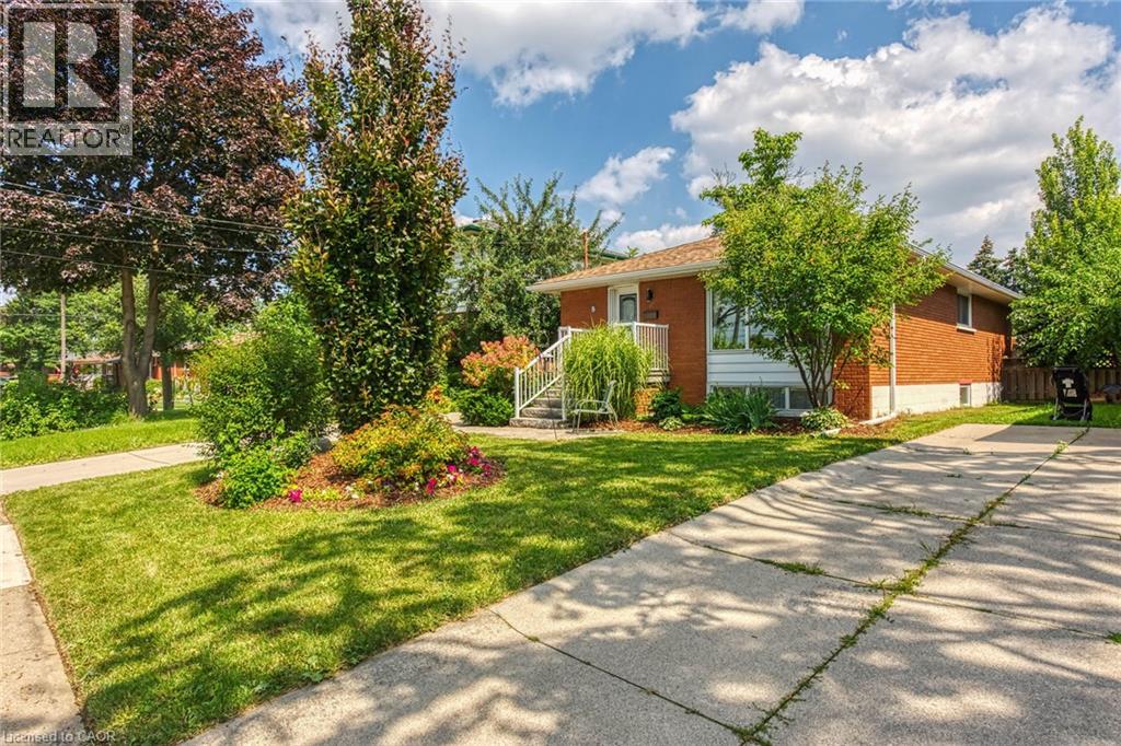 5 BURRWOOD Drive - 7