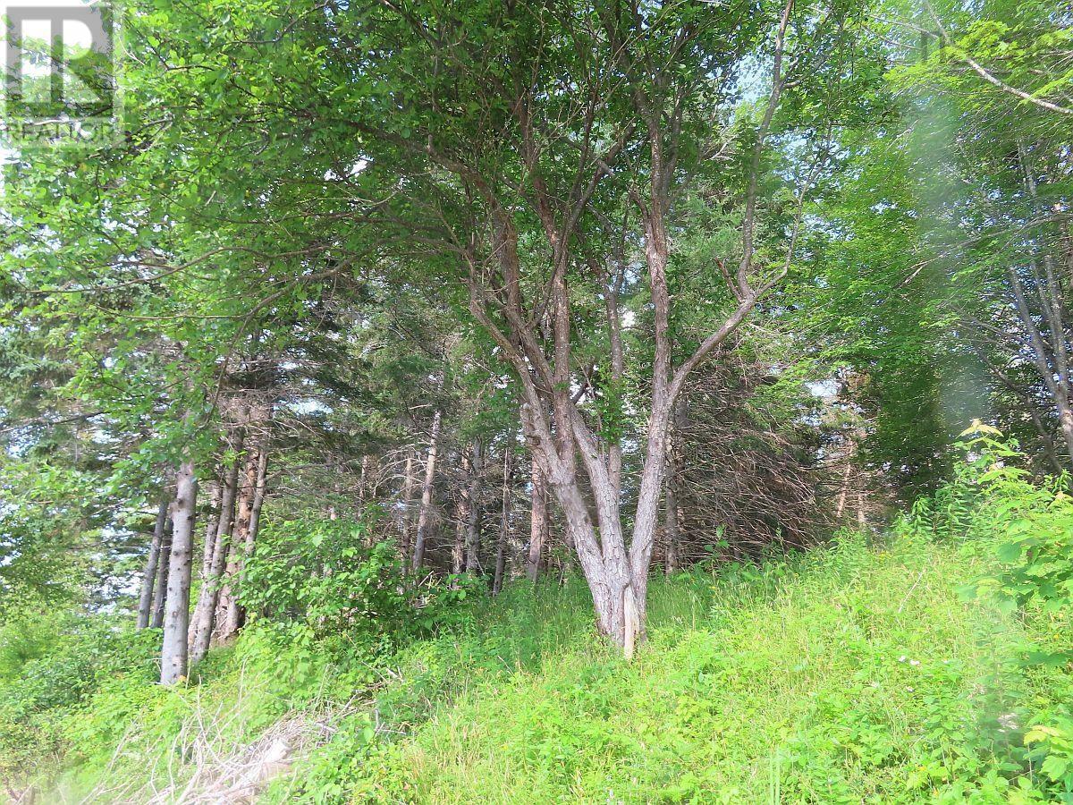 Property 17 of 30 of 2018-34Y Evanston Road, Stephen Augustin Dr