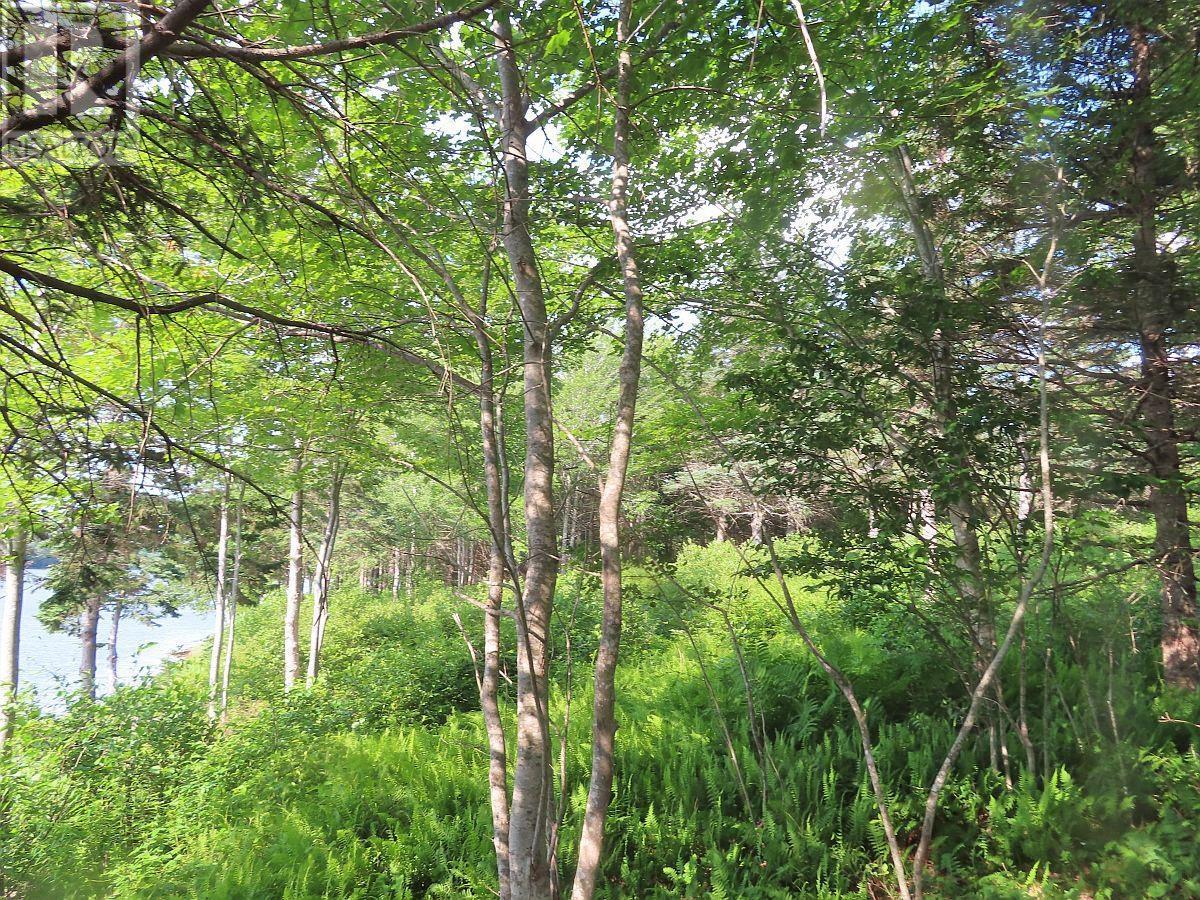 Property 15 of 30 of 2018-34Y Evanston Road, Stephen Augustin Dr
