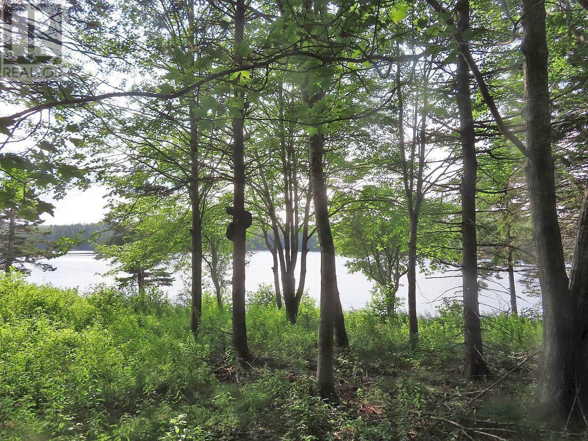 Property 23 of 30 of 2018-34Y Evanston Road, Stephen Augustin Dr
