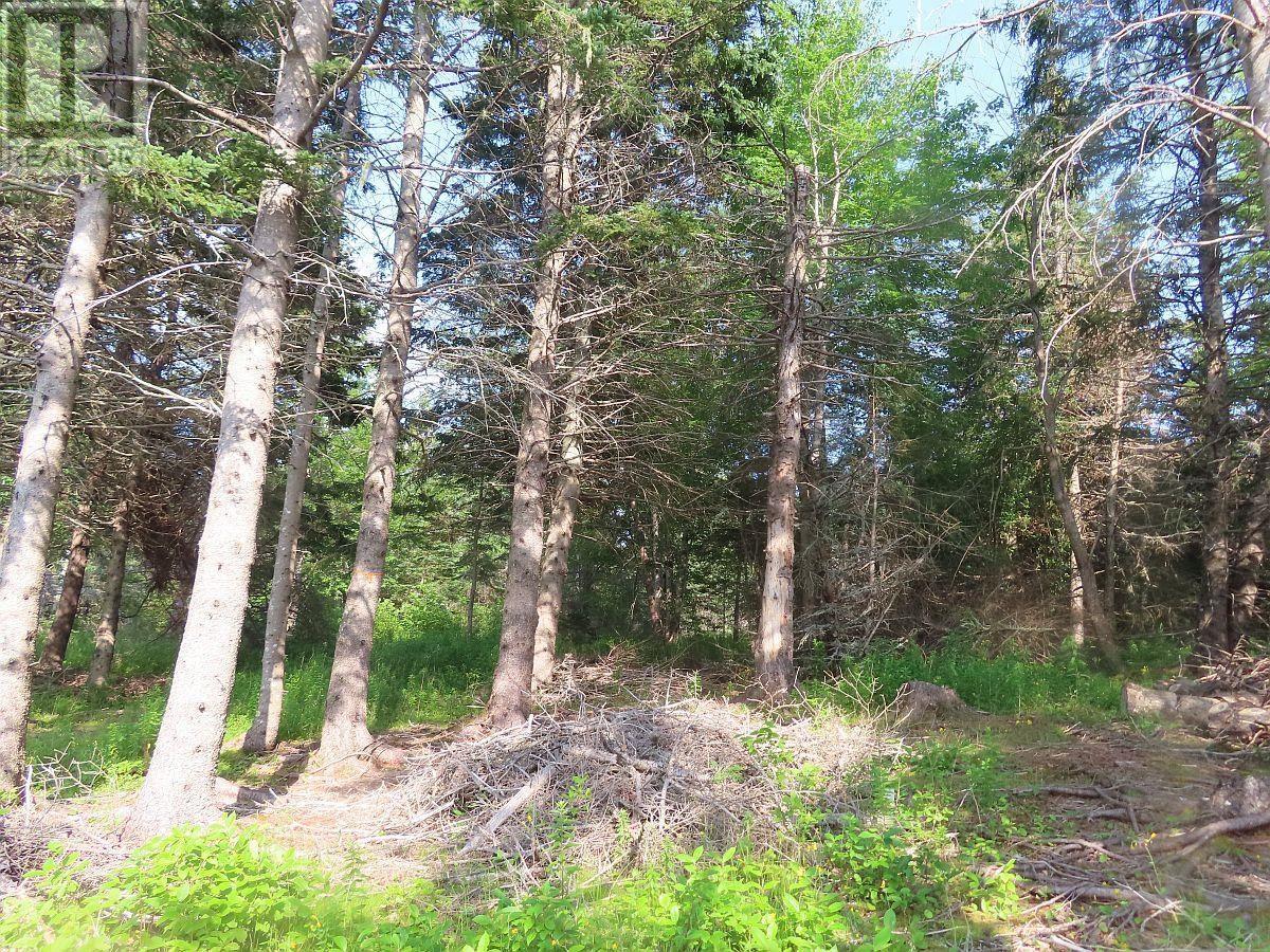 Property 19 of 30 of 2018-34Y Evanston Road, Stephen Augustin Dr