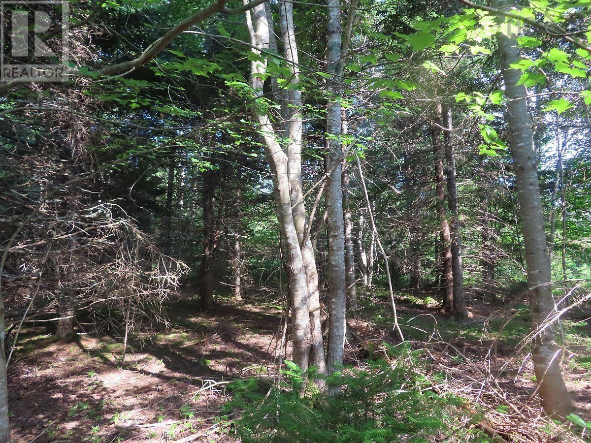 Property 25 of 30 of 2018-34Y Evanston Road, Stephen Augustin Dr