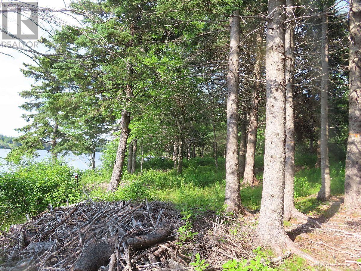 Property 20 of 30 of 2018-34Y Evanston Road, Stephen Augustin Dr