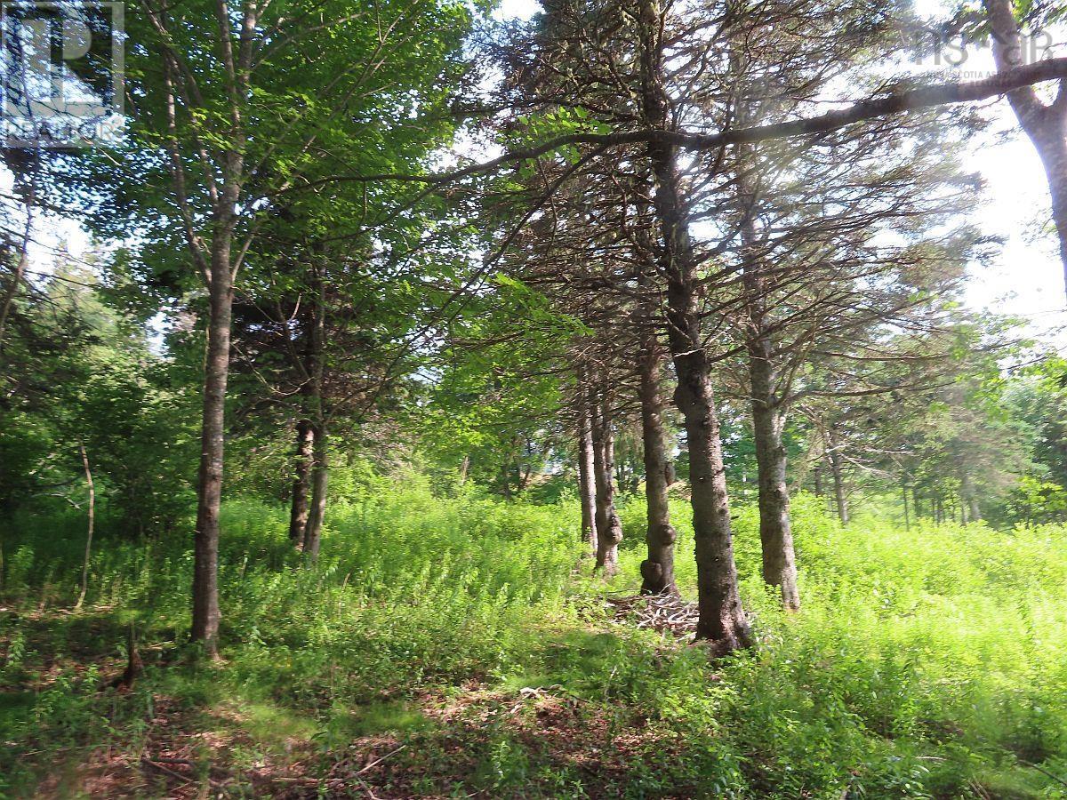 Property 21 of 30 of 2018-34Y Evanston Road, Stephen Augustin Dr