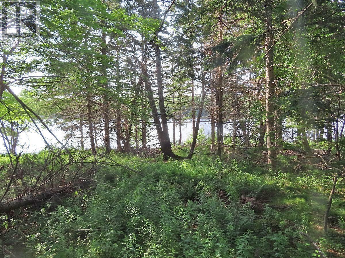 Property 24 of 30 of 2018-34Y Evanston Road, Stephen Augustin Dr