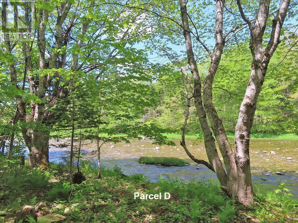 3 Lots Gold Brook Road — photo 6
