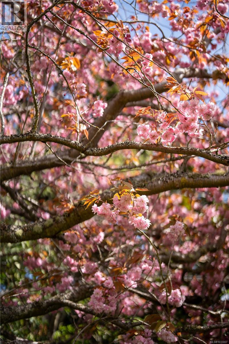 1541 Despard Ave - 54