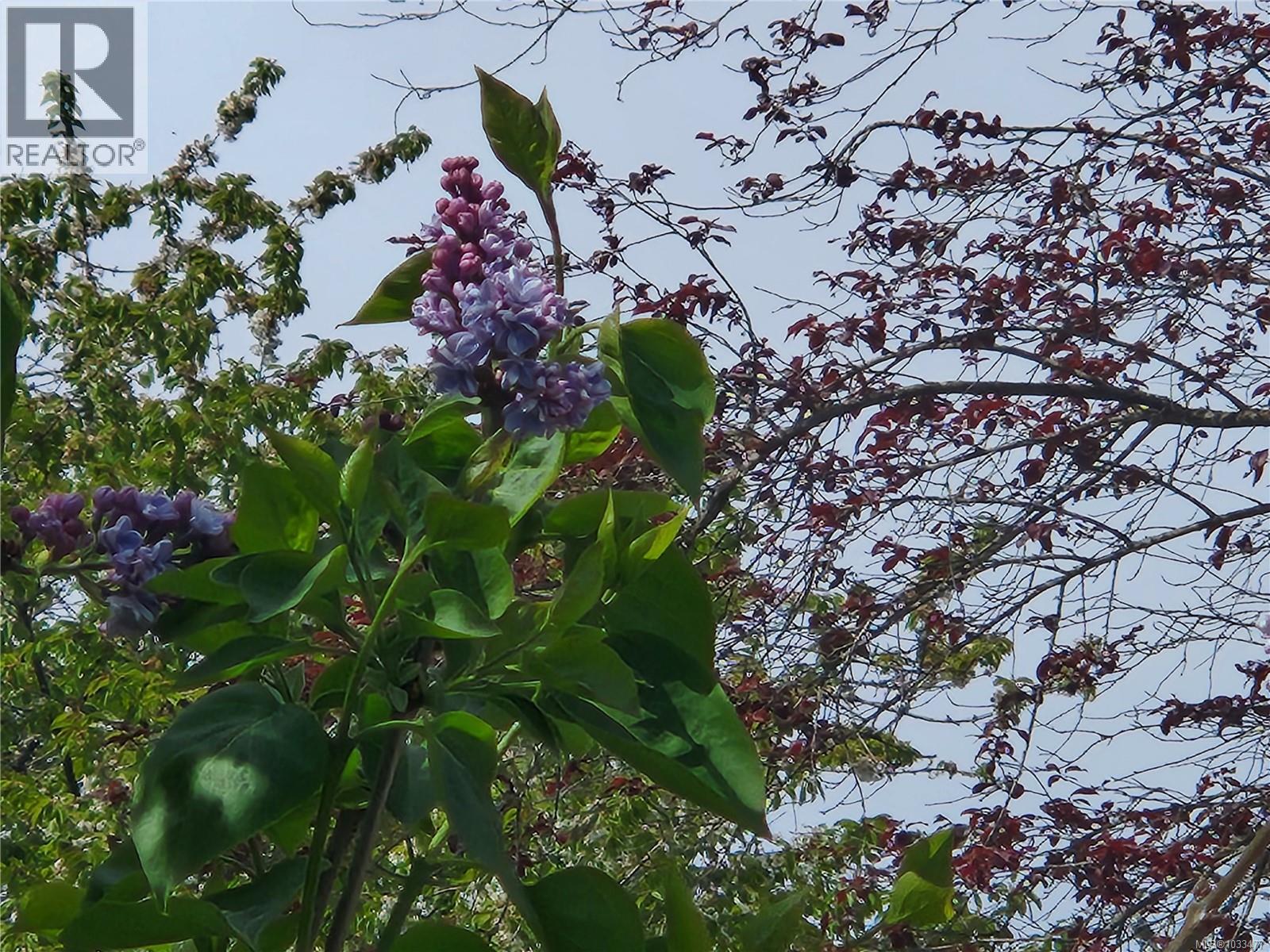 #38 971 Douglas Ave - 6