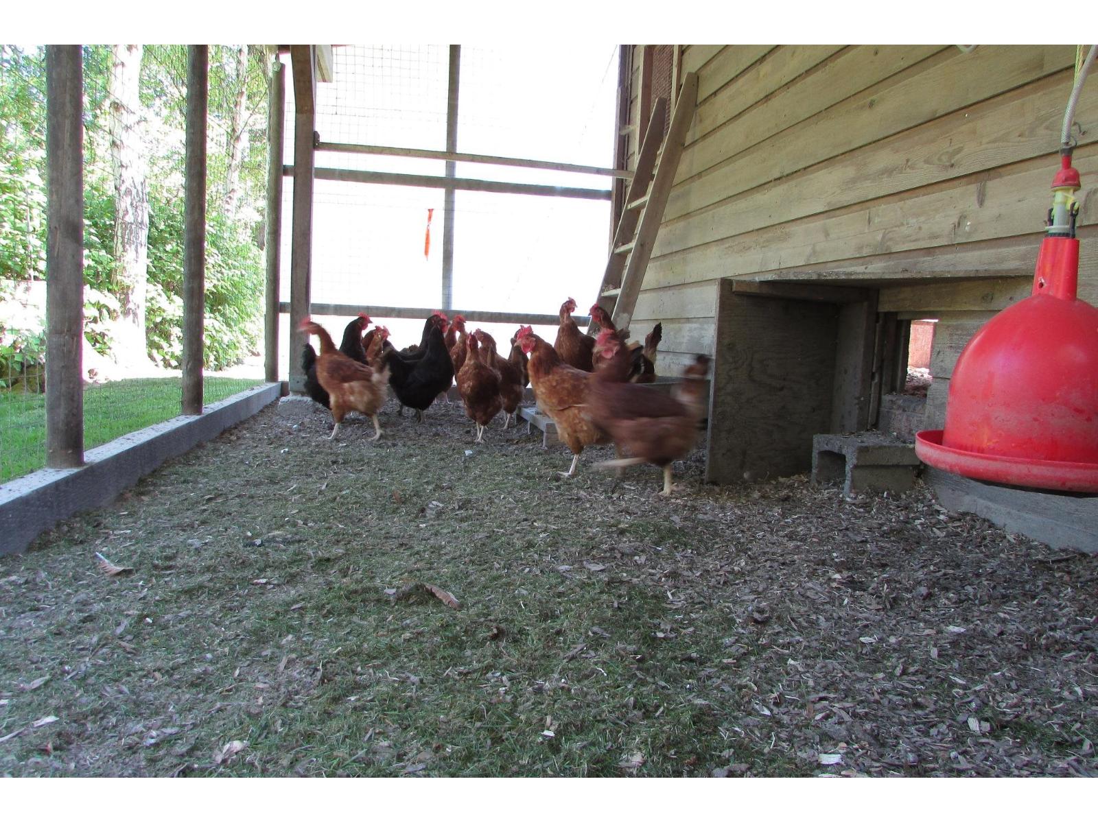 44387 SOUTH SUMAS ROAD, Sardis West Vedder — photo 19