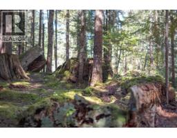 345 Skywater Dr, Salt Spring, BC V8K2W9 Photo 6