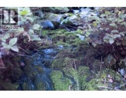 345 Skywater Dr, Salt Spring, BC V8K2W9 Photo 9
