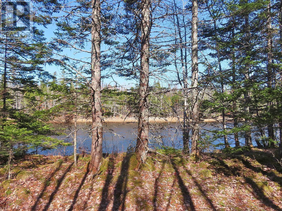 Lot5 Lower River Road — photo 12