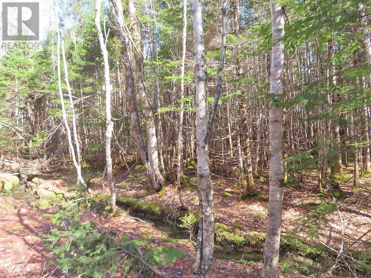 Lot5 Lower River Road — photo 20