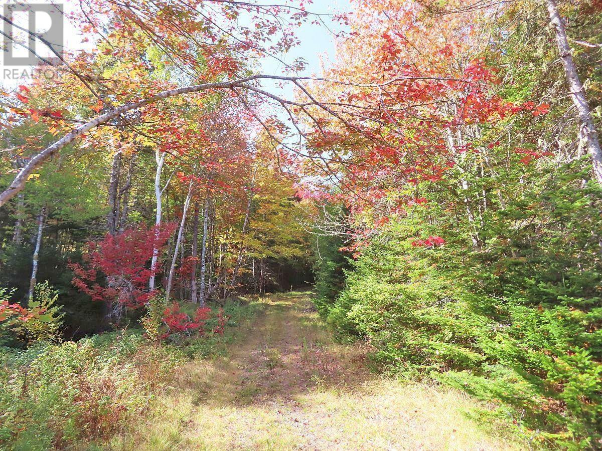 Property 12 of 39 of 128.5 Acres West Side Road