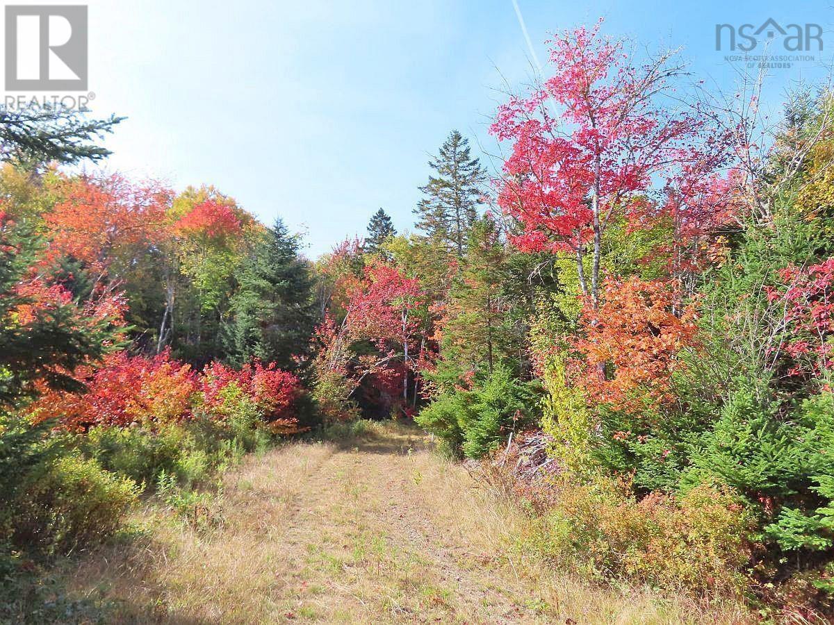 Property 13 of 39 of 128.5 Acres West Side Road