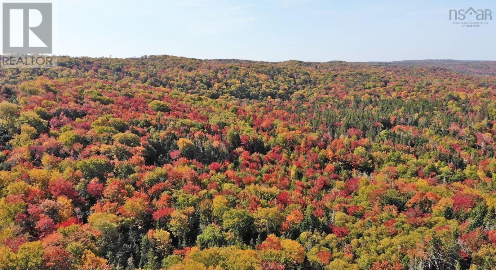 Property 21 of 39 of 128.5 Acres West Side Road