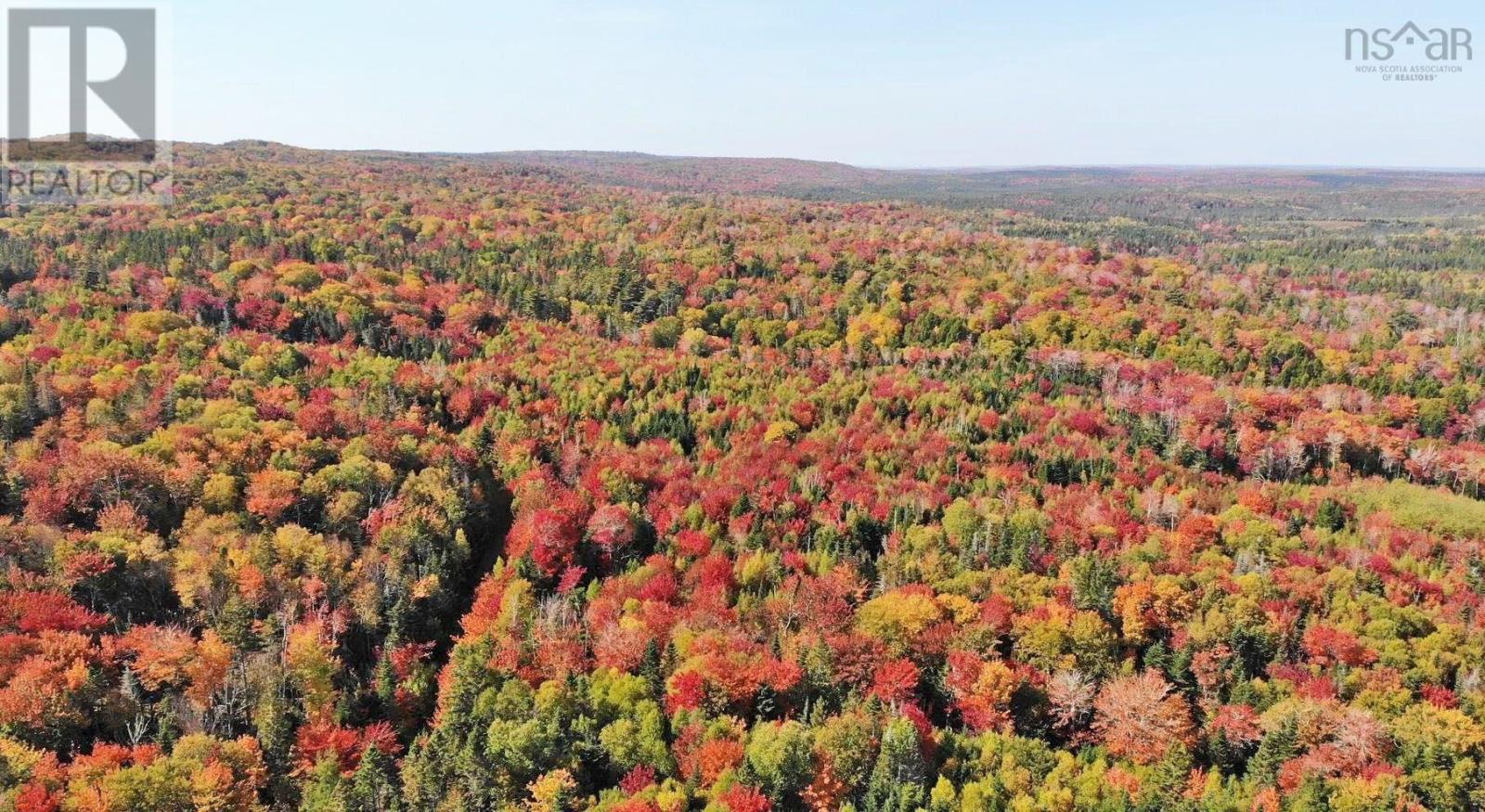 Property 22 of 39 of 128.5 Acres West Side Road