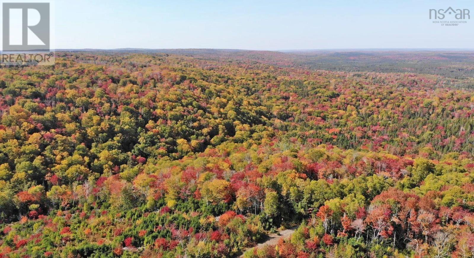 Property 26 of 39 of 128.5 Acres West Side Road