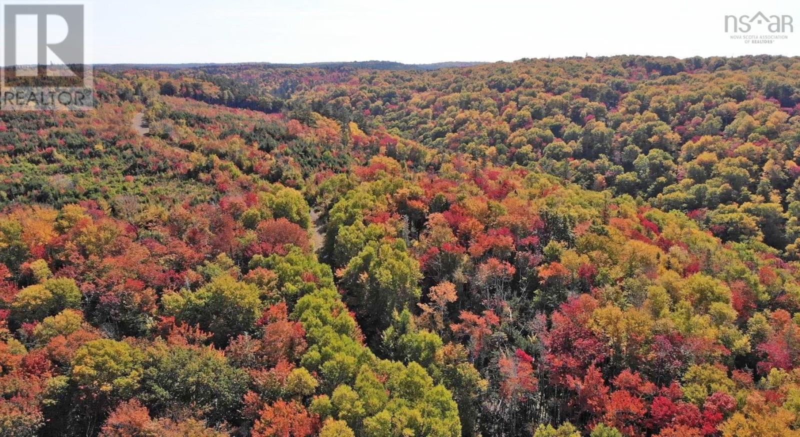 Property 27 of 39 of 128.5 Acres West Side Road