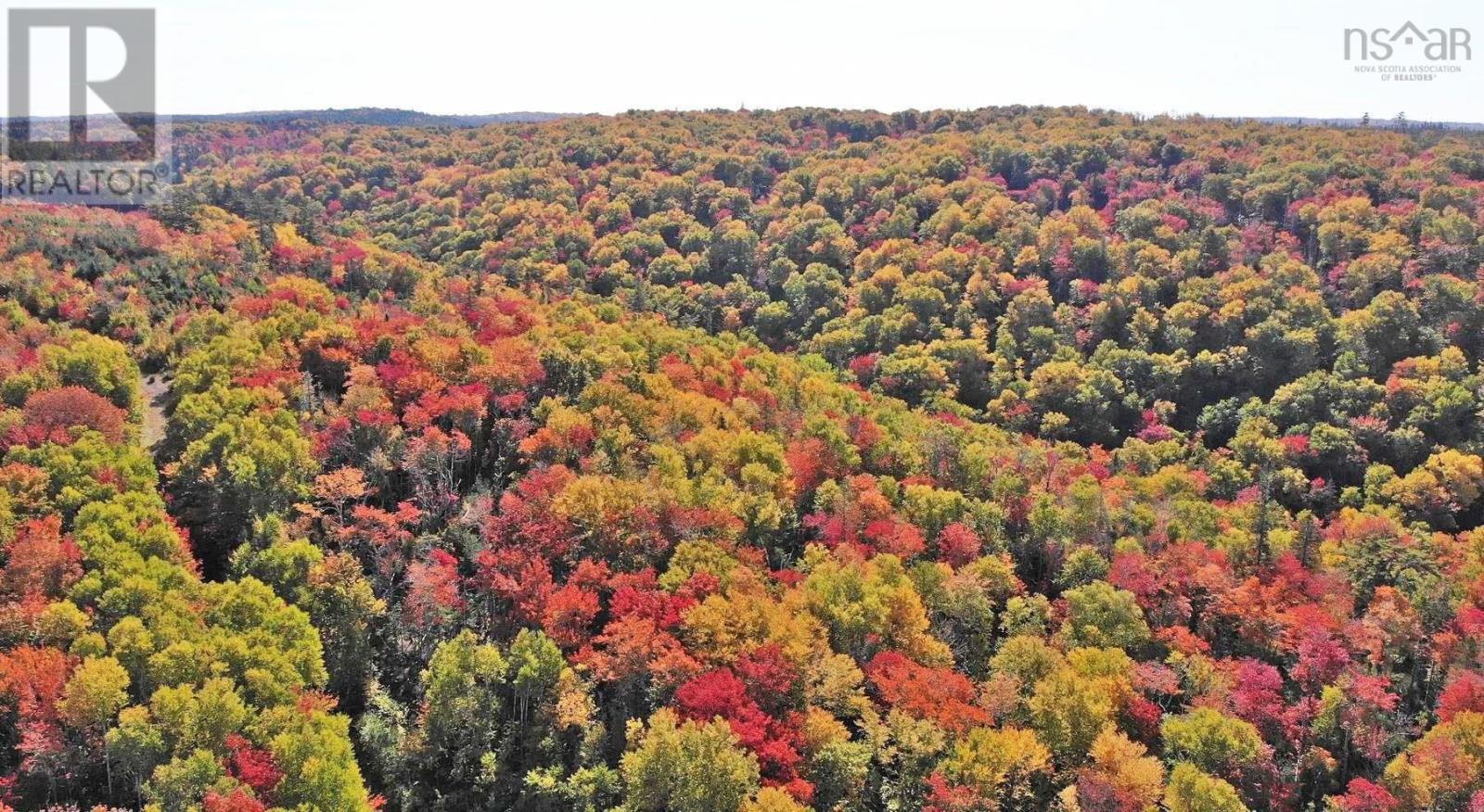 Property 28 of 39 of 128.5 Acres West Side Road