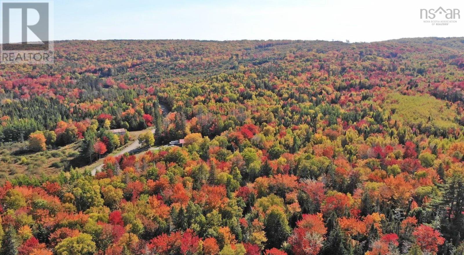 Property 30 of 39 of 128.5 Acres West Side Road