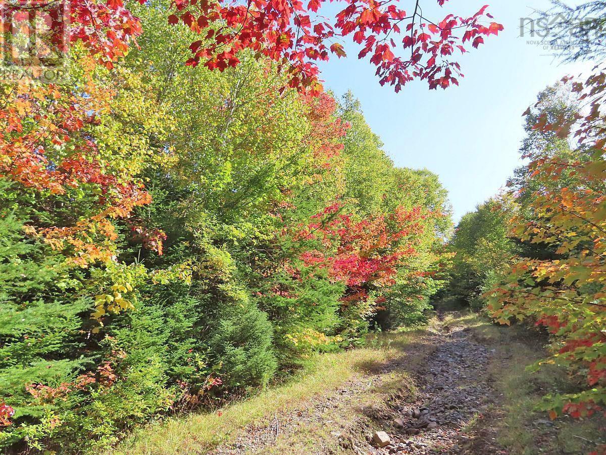 Property 9 of 39 of 128.5 Acres West Side Road