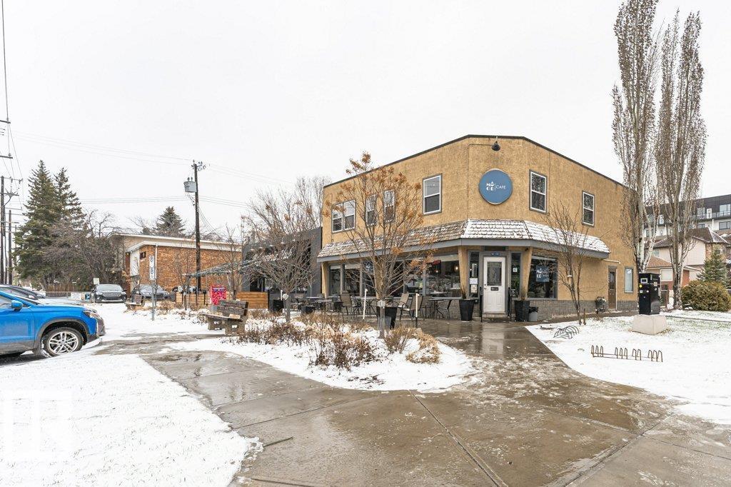 #317 11503 76 AV NW, Edmonton