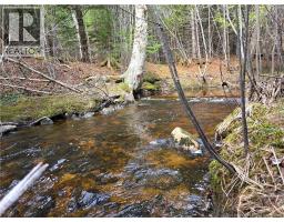0 Crest Avenue, Heathland, NB E3L5C1 Photo 19
