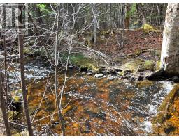 0 Crest Avenue, Heathland, NB E3L5C1 Photo 10
