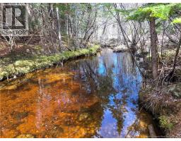 0 Crest Avenue, Heathland, NB E3L5C1 Photo 15