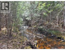 0 Crest Avenue, Heathland, NB E3L5C1 Photo 11