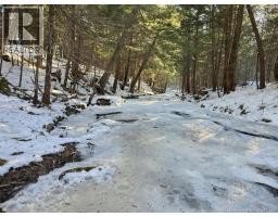 00 Crest Avenue, Heathland, NB E3L5C1 Photo 15