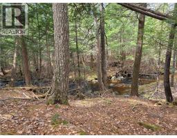 00 Crest Avenue, Heathland, NB E3L5C1 Photo 22