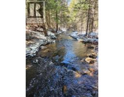 00 Crest Avenue, Heathland, NB E3L5C1 Photo 11