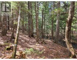 00 Crest Avenue, Heathland, NB E3L5C1 Photo 14