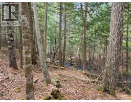 00 Crest Avenue, Heathland, NB E3L5C1 Photo 21