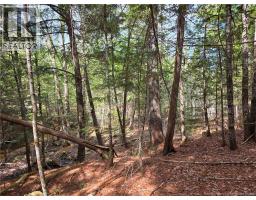 00 Crest Avenue, Heathland, NB E3L5C1 Photo 17