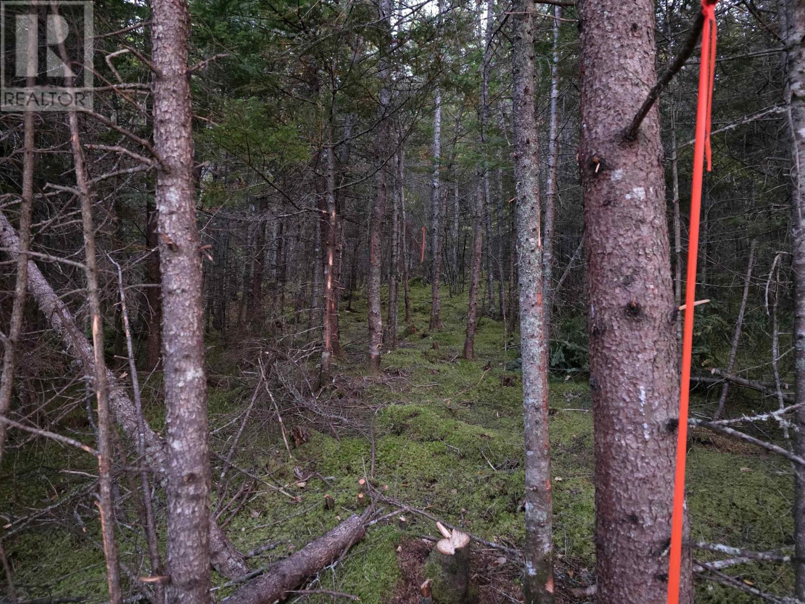 Property 4 of 12 of Land 104 Highway