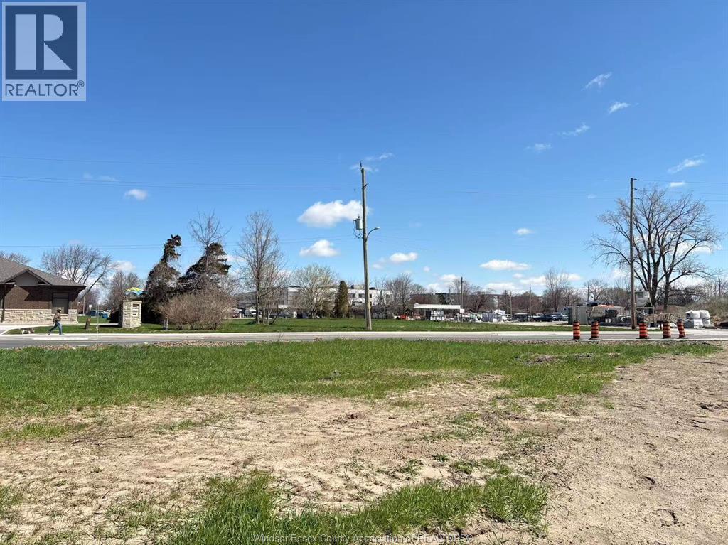 26 ROBSON ROAD, Leamington, Ontario, N8H2M9 — Photo 3