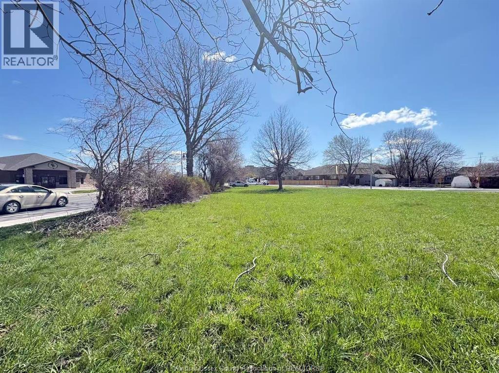 26 ROBSON ROAD, Leamington, Ontario, N8H2M9 — Photo 5