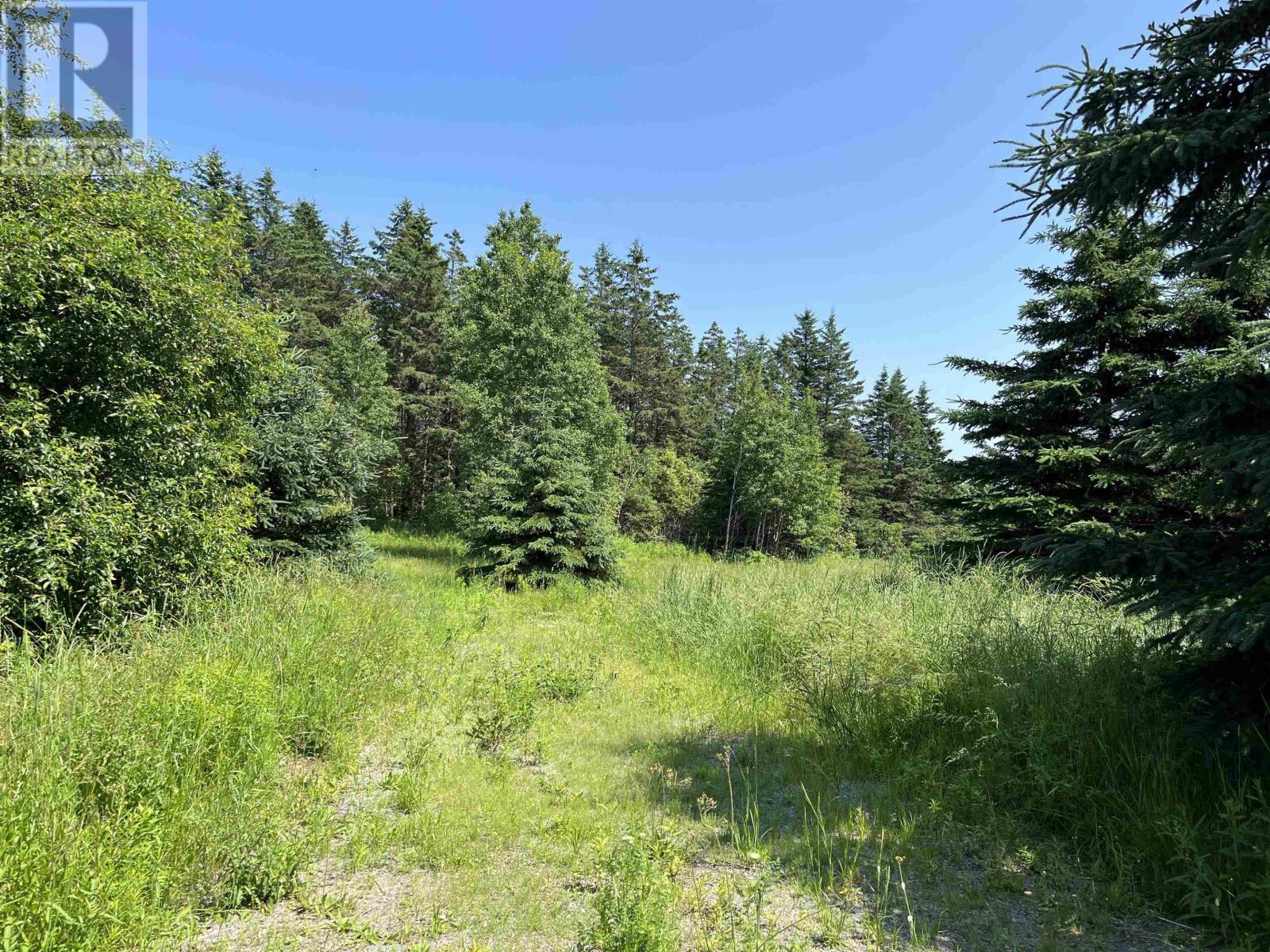 Lot Baxters Harbour Road — photo 8
