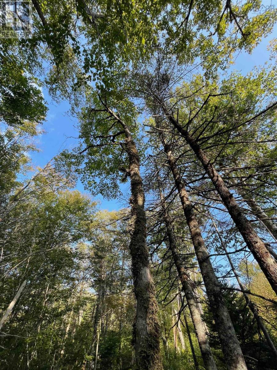 Property 19 of 20 of Road 0 Beechmont Road